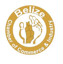 WhatsApp_Image_2024-02-18_at_12.03.35_PM-removebg-preview